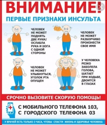 Всемирный день борьбы с инсультом